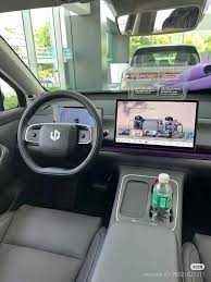 Leapmotor C10 Hybrid 210km pod zakaz