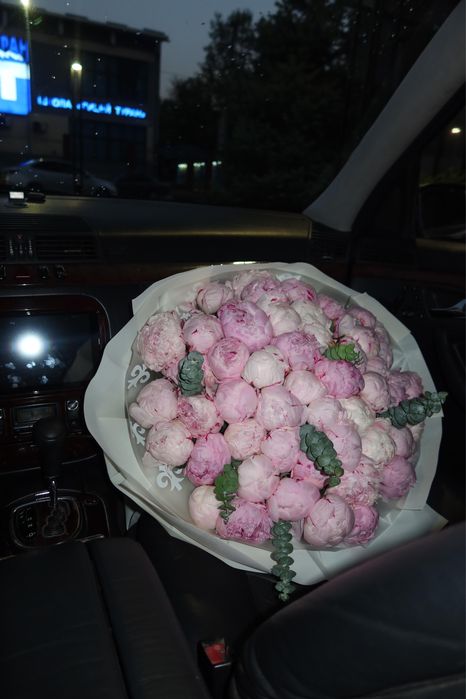 Продам пионы свежие
