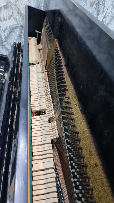 Piano Belarus Sotiladi