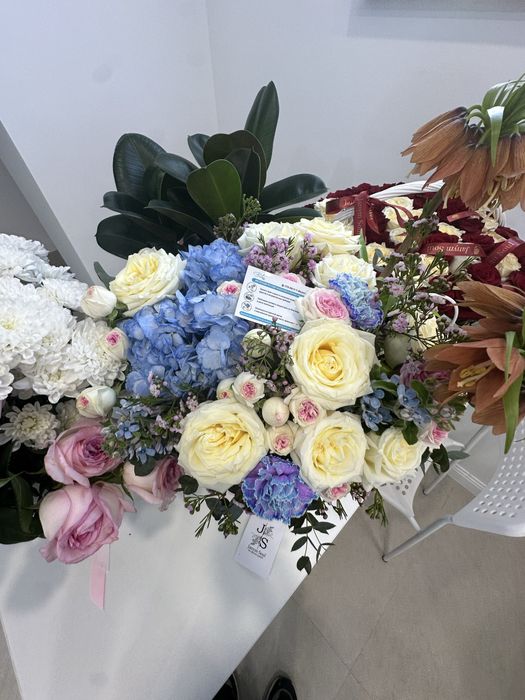 Цветы красивые новые