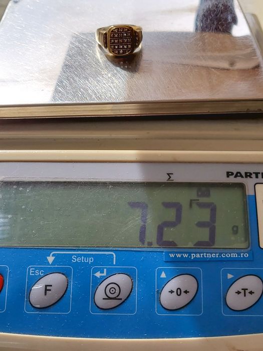 Ghiul bărbătesc din aur de 10K cu pietre semiprețioase albe