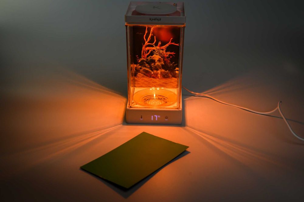 Mini Acvariu de birou Kodiak  special pentru pesti Beta