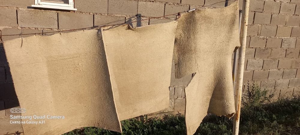 Будка для собаки