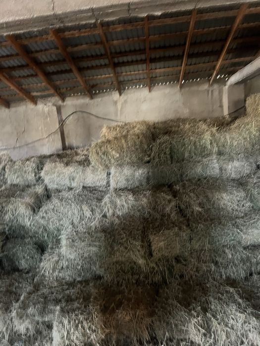 Прес, тюк бар сатылатын