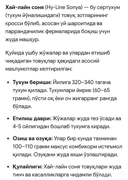 Хаммаси 100 % товук чикади. Сертухум Хай-лайн соня жужалари. Jojalar