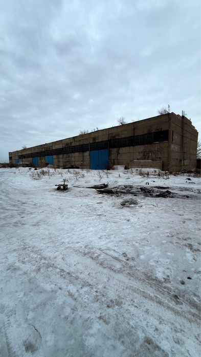 Сдам в аренду боксы скалд