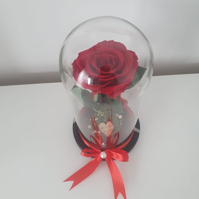 Trandafir criogenat conservat in cupola de sticla