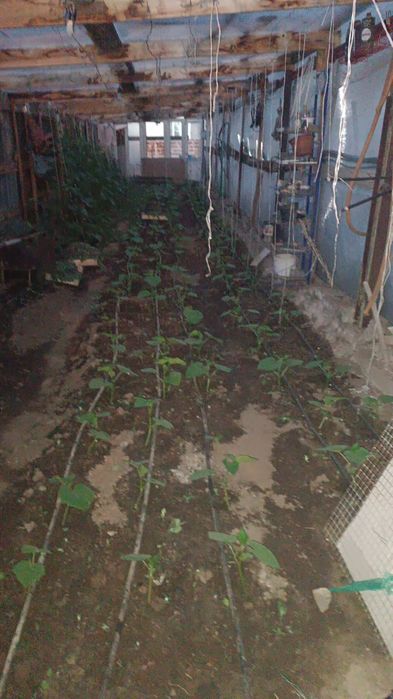 Продам дом в кабанбай батыра