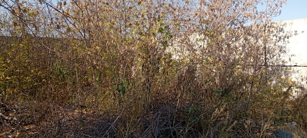 Продам участок с домом срочно срочно.