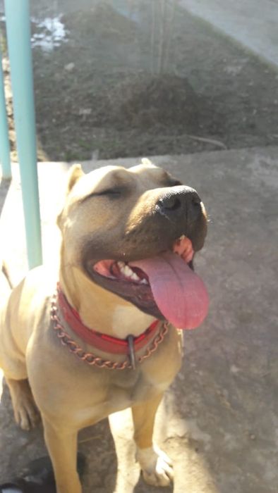 Обмен обмен обмен