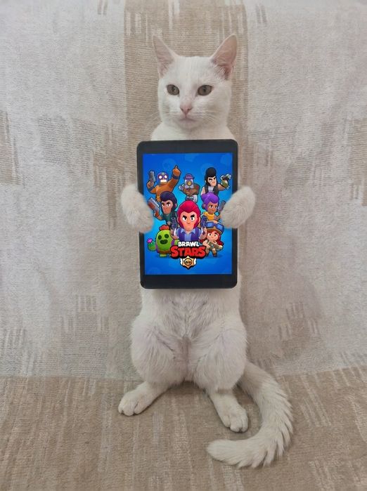 IPad  mini 1 нормально состоянии