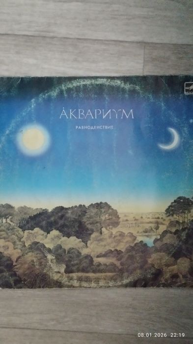 Виниловые пластинки