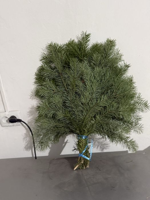 Банные веники в ассортименте