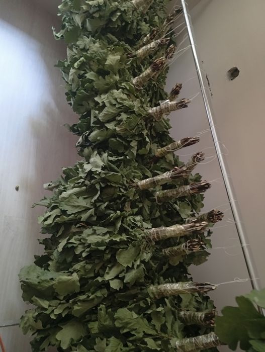 Продам венники банные