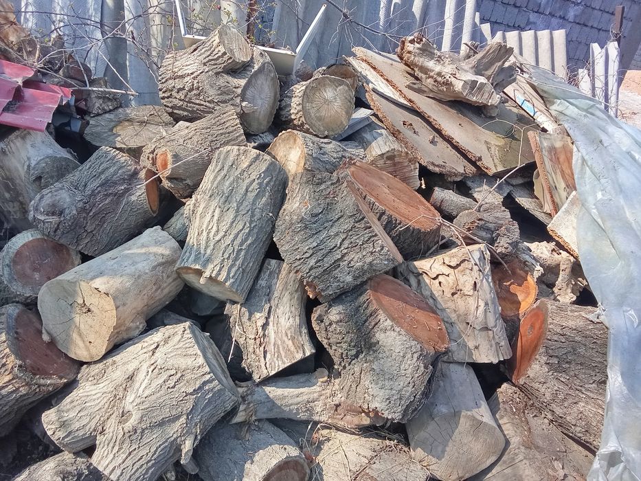 Ағаш сатылады баняга