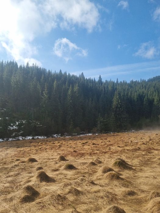 Vand teren la Poiana Horea