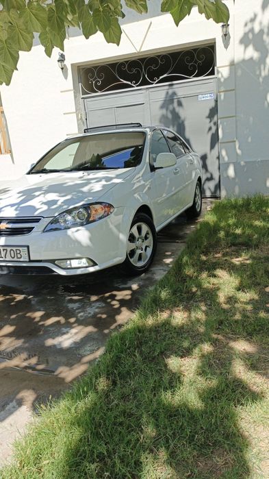 Jentra 2019 kaska top toza gen bor