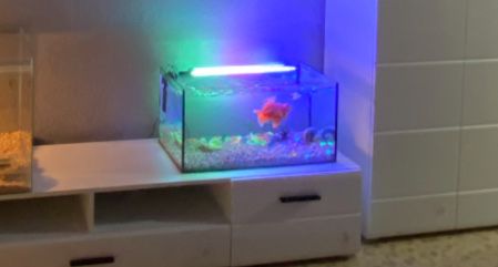 Аквариум 54 литра