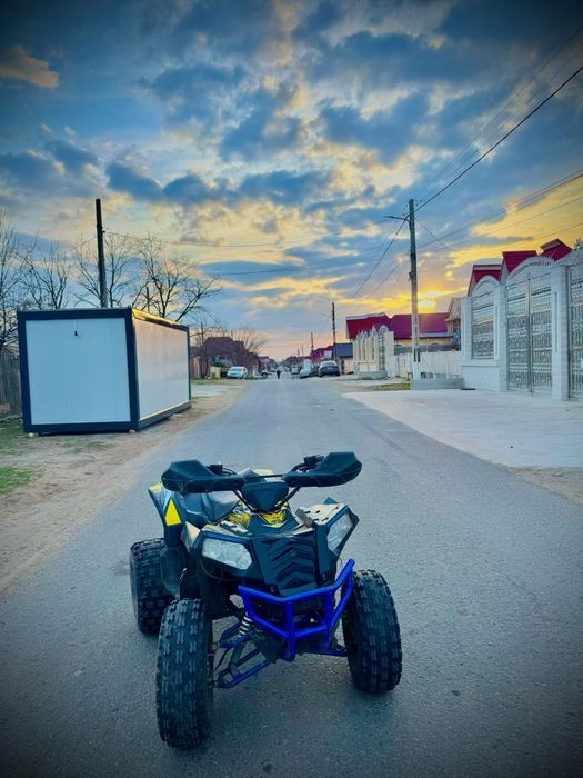 Vand atv140cc cxd pro germani