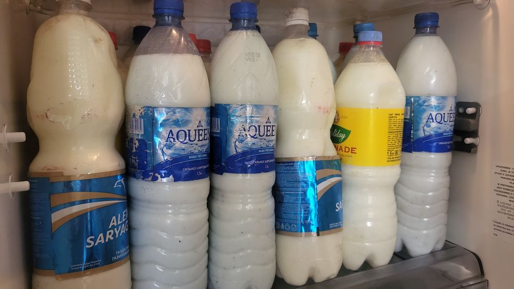 Саратовтың жалаңаш қыздары