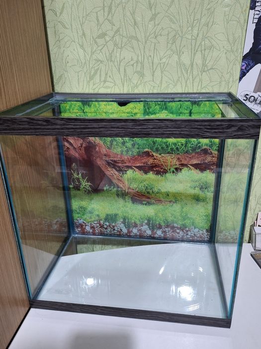срочно продам аквариум для рыб