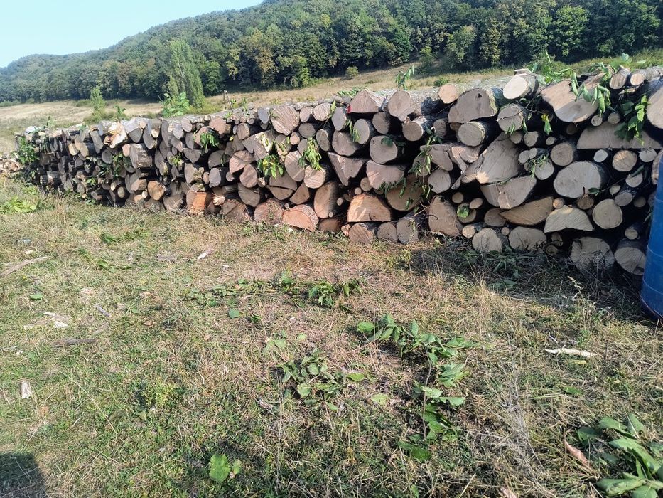 Vand lemne de foc carpen fag Stejar calitate superioara transport la domiciliu