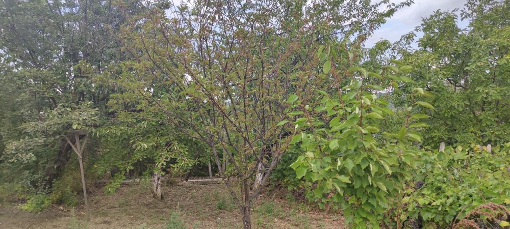 Продава се Къща в Айтос - 40 кв.м за 891 €/кв.м - Снимка #2