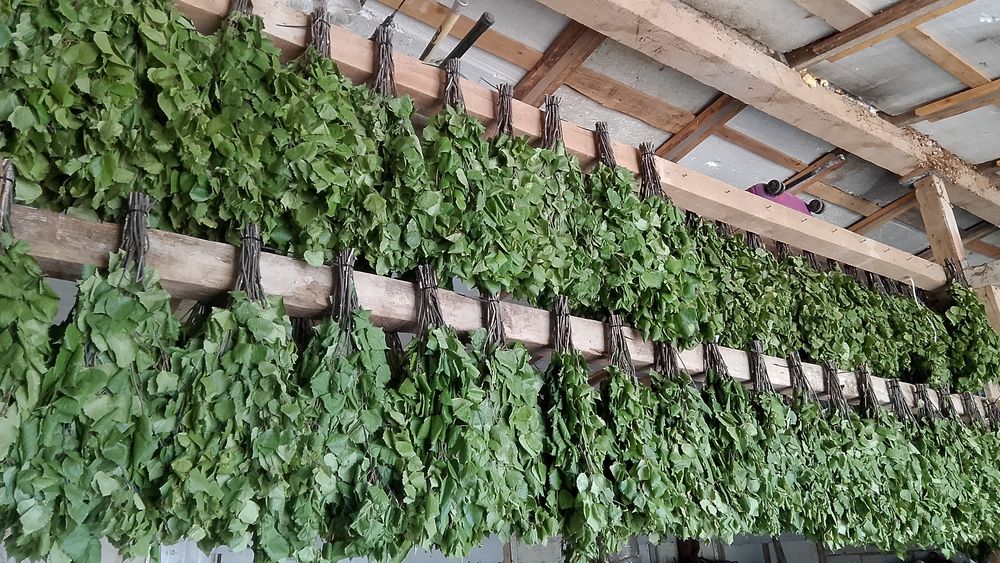 Настойка прополиса дачная Астана