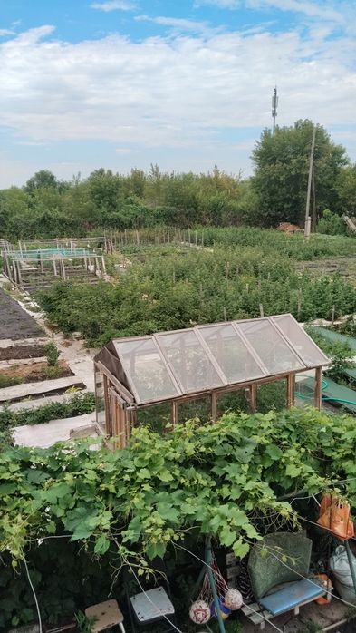 Продам дачу с бизнесом.