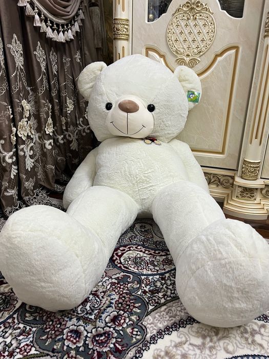 Teddy ayiq sotiladi yangi