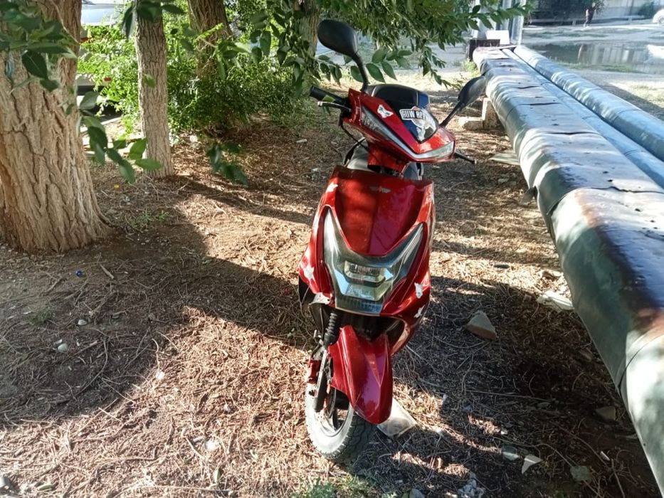 мопед м11 на ходу