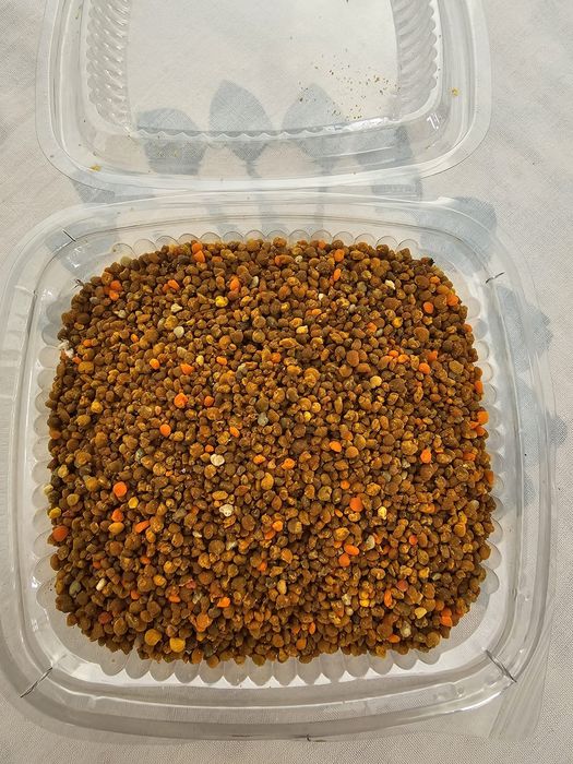 Polen crud de la pomi fructiferi papadie recoltat anul acesta