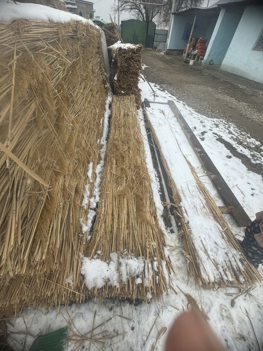 Қамыс, Маты сатылады,