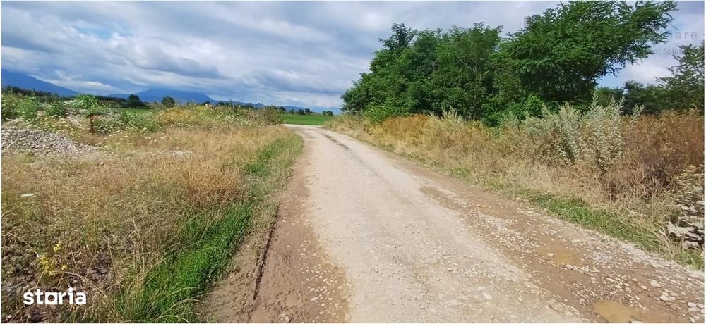 Teren pretabil exploatare balastiera Harman , parc industrial sau dezv