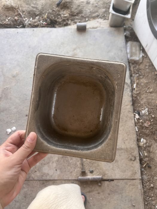 Тарелка для кафе