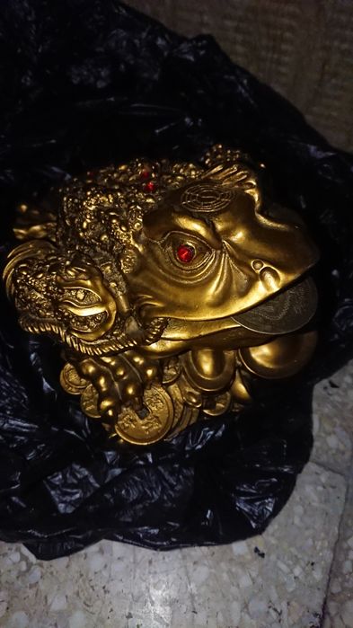 Китайска жаба на парите - Златиста жаба за украса