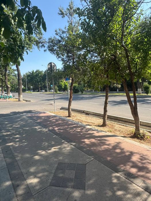 Чиланзар 8. Под офис.