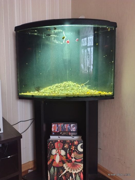 Продам аквариум с рыбками.