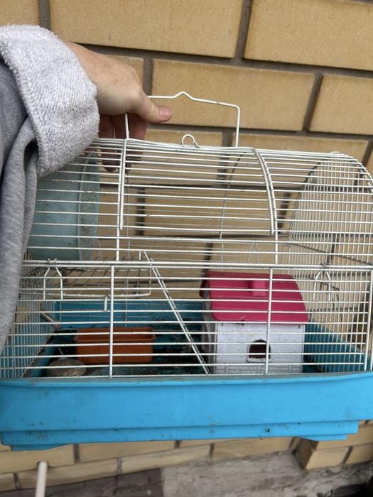Клетки для попугая и хомяка