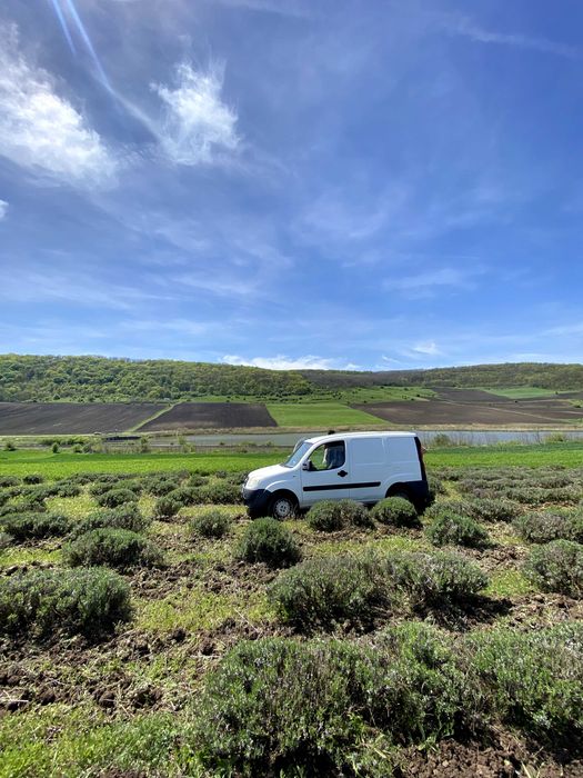Fiat Doblo 2007 - alb - 4400 LEI