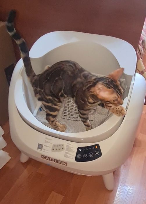 Автоматический лоток для кошек