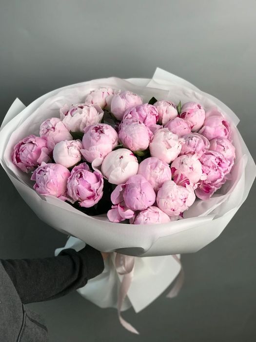 Пионы Пионы Пионы