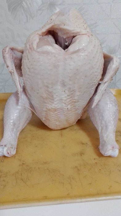 Мясо домашнего бройлера