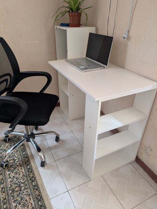 Qiz semiz eshagi bilan yuzimga otirdi