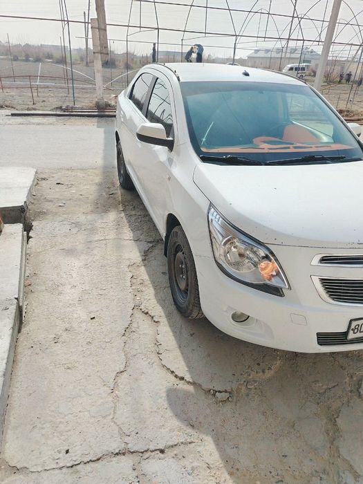 Prostaya profane COBALT LT