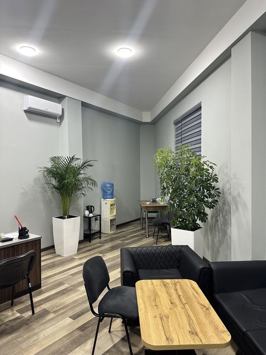 Офисные растения в горшках по самым низким ценам!