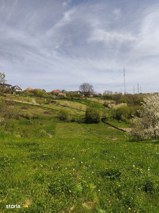 Teren construcție duplex sau casa individuala