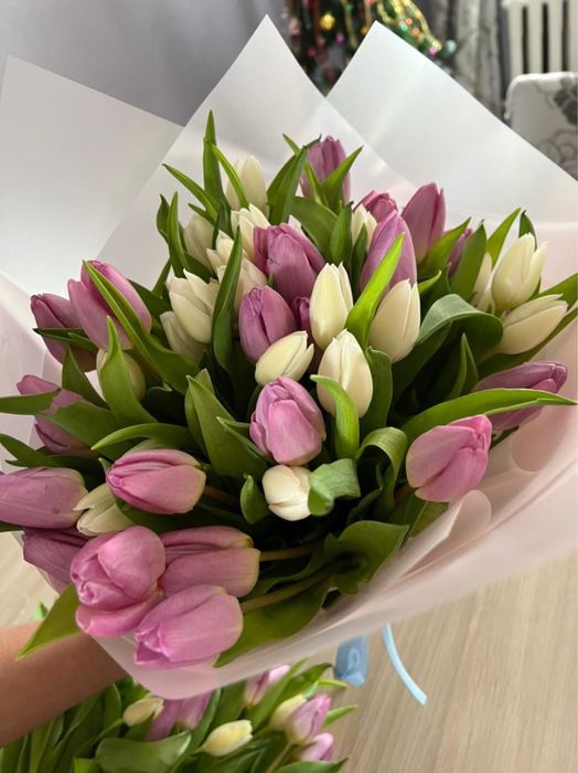 Тюльпаны большие