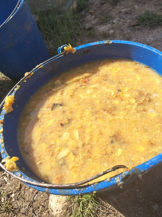 Suc  100% natural din mere golden de cea mai bună calitate