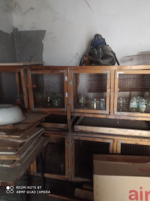 Куйон сетка товук сетка